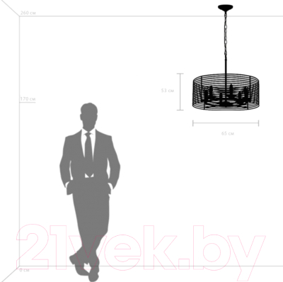 Люстра Lightstar Zeta 728063 (MD20105-6A)