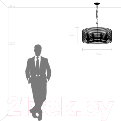 Люстра Lightstar Zeta 728083 (MD20105-8A)