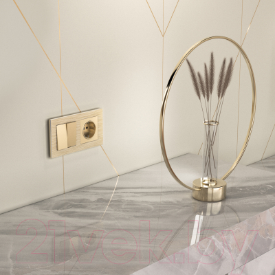 Рамка для выключателей и розеток Werkel W0021711 / a052313