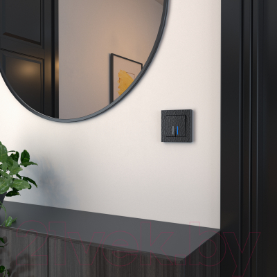 Выключатель Werkel W1220108 / a052062