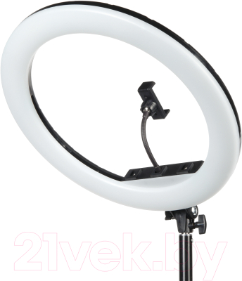 Кольцевая лампа Falcon Eyes BeautyLight 480RC LED / 27944