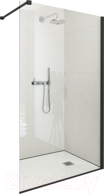 Душевая стенка Roth ECWALK/1000 (черный/прозрачное стекло) - фото