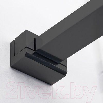 Душевая стенка Roth ECWALK/1000 (черный/прозрачное стекло)