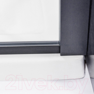 Душевая стенка Roth ECWALK/1000 (черный/прозрачное стекло)