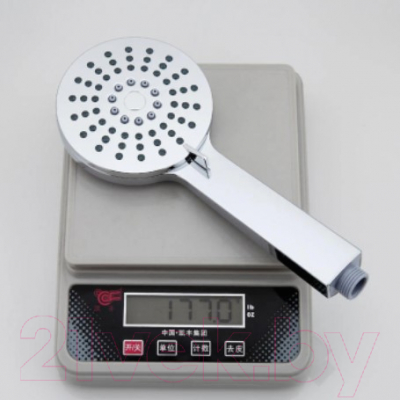 Лейка ручного душа Frap F006