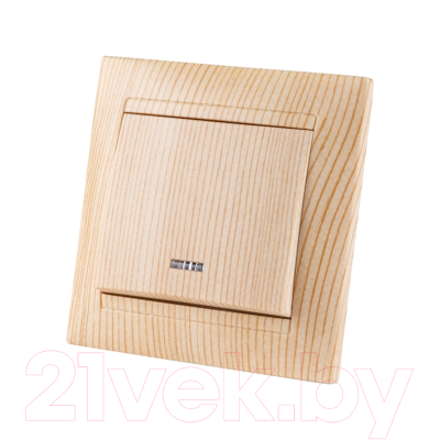 Выключатель TDM Лама SQ1815-0304 - фото