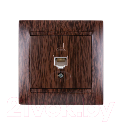 Розетка TDM Лама SQ1815-0416