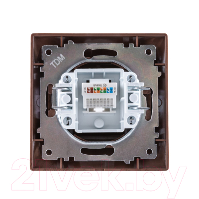 Розетка TDM Лама SQ1815-0416