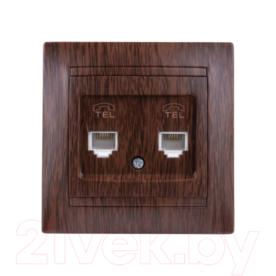 Розетка TDM Лама SQ1815-0418