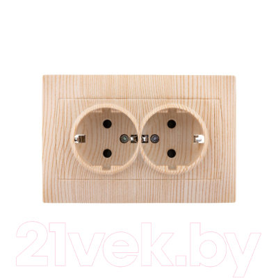 Розетка TDM Лама SQ1815-0313