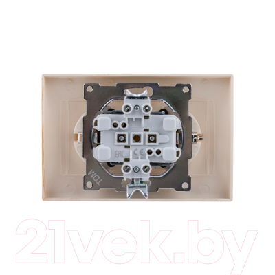 Розетка TDM Лама SQ1815-0313