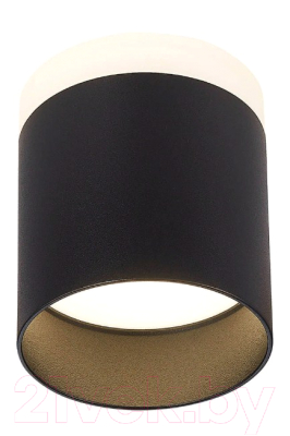 Потолочный светильник ST Luce Panaggio ST102.442.12 - фото