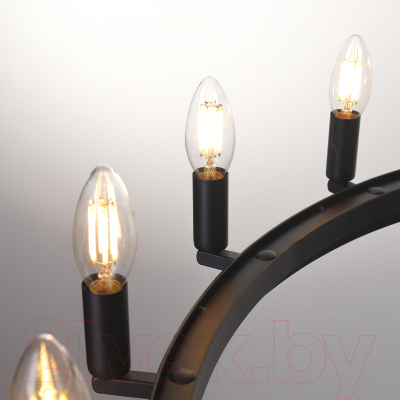 Люстра Citilux Смитсон CL470254