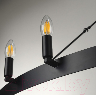 Люстра Citilux Смитсон CL470124