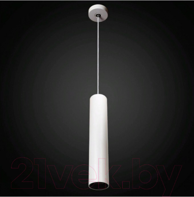 Потолочный светильник Citilux Тубус CL01PB120N