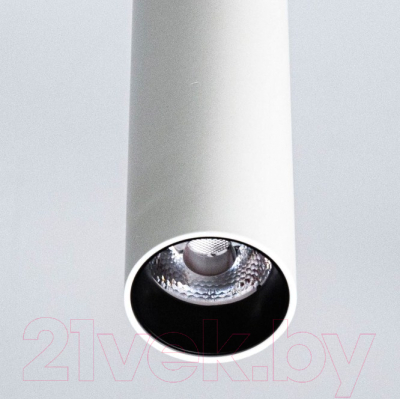 Потолочный светильник Citilux Тубус CL01PB070N