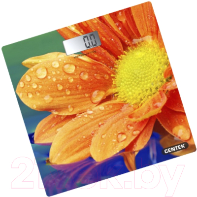 Напольные весы электронные Centek CT-2420 - фото