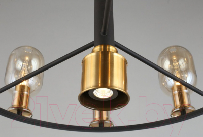 Люстра Aployt Stefani APL.901.03.10