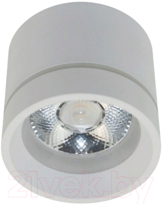 Потолочный светильник Aployt Gita APL.0043.09.05 - фото