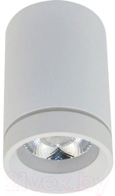 Потолочный светильник Aployt Edda APL.0054.09.10 - фото