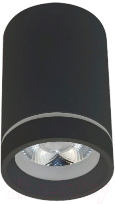 Потолочный светильник Aployt Edda APL.0054.19.10 - фото