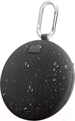 Портативная колонка Platinet PMG14B - фото