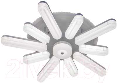 Потолочный светильник Aitin-Pro K80301/10 - фото