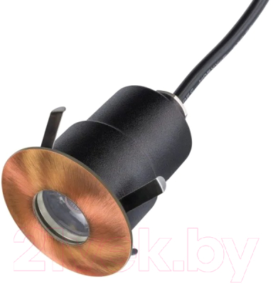 Точечный светильник Lightstar Ipogeo ip384318 - фото