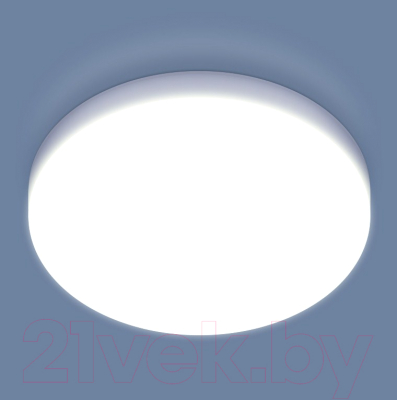 Потолочный светильник Elektrostandard DLR043 10W 4200K - фото