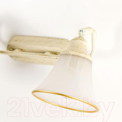 Спот Citilux Прованс CL511524