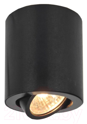 Спот Citilux Дюрен CL538113 - фото