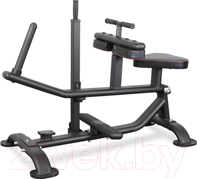 Силовой тренажер Bronze Gym PL-1719 - фото