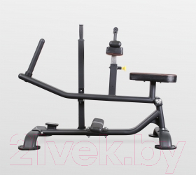 Силовой тренажер Bronze Gym PL-1719