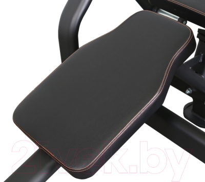 Скамья для пресса Bronze Gym PL-1720