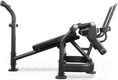 Скамья для пресса Bronze Gym PL-1720