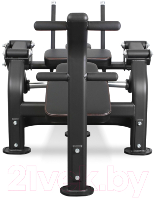 Скамья для пресса Bronze Gym PL-1720