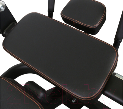 Скамья для пресса Bronze Gym PL-1720