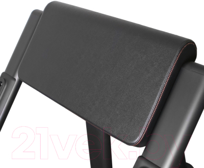 Скамья Скотта Bronze Gym BR-1007