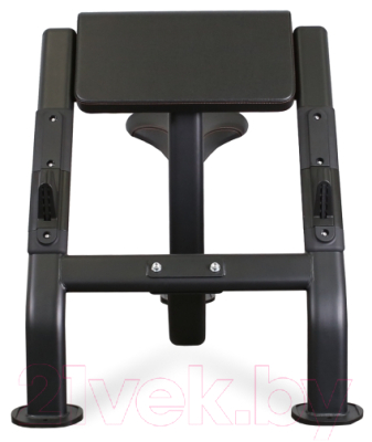 Скамья Скотта Bronze Gym BR-1007