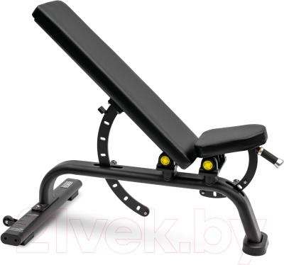 Скамья многофункциональная Bronze Gym BR-1001