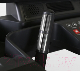 Электрическая беговая дорожка Bronze Gym T1000M Pro Turbo