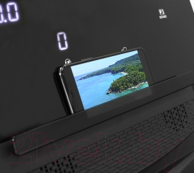 Электрическая беговая дорожка Bronze Gym T900M