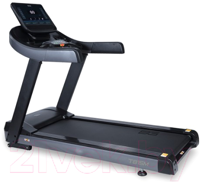 Электрическая беговая дорожка Bronze Gym T815M - фото