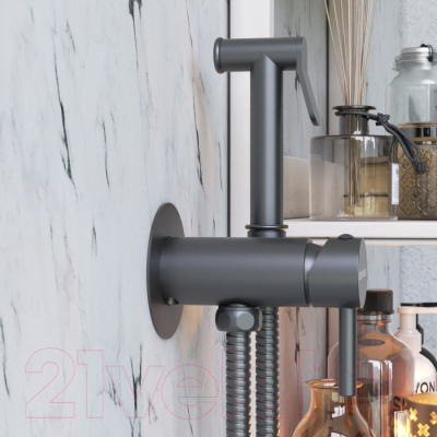 Гигиенический душ Damixa Option 217000000