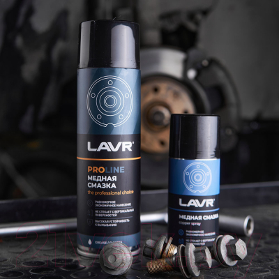 Смазка техническая Lavr Service / Ln3509