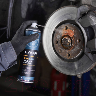 Смазка техническая Lavr Service / Ln3509