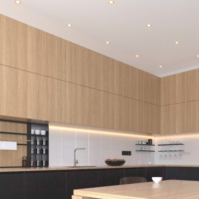 Точечный светильник Elektrostandard 110 MR16 