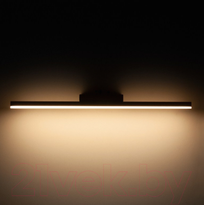 Подсветка для картин и зеркал Elektrostandard Protect MRL LED 1111