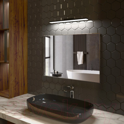 Подсветка для картин и зеркал Elektrostandard Protect MRL LED 1111