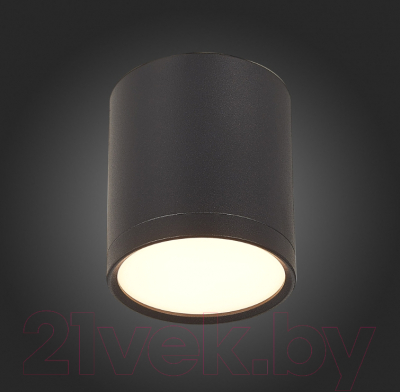 Точечный светильник ST Luce Rene ST113.432.05